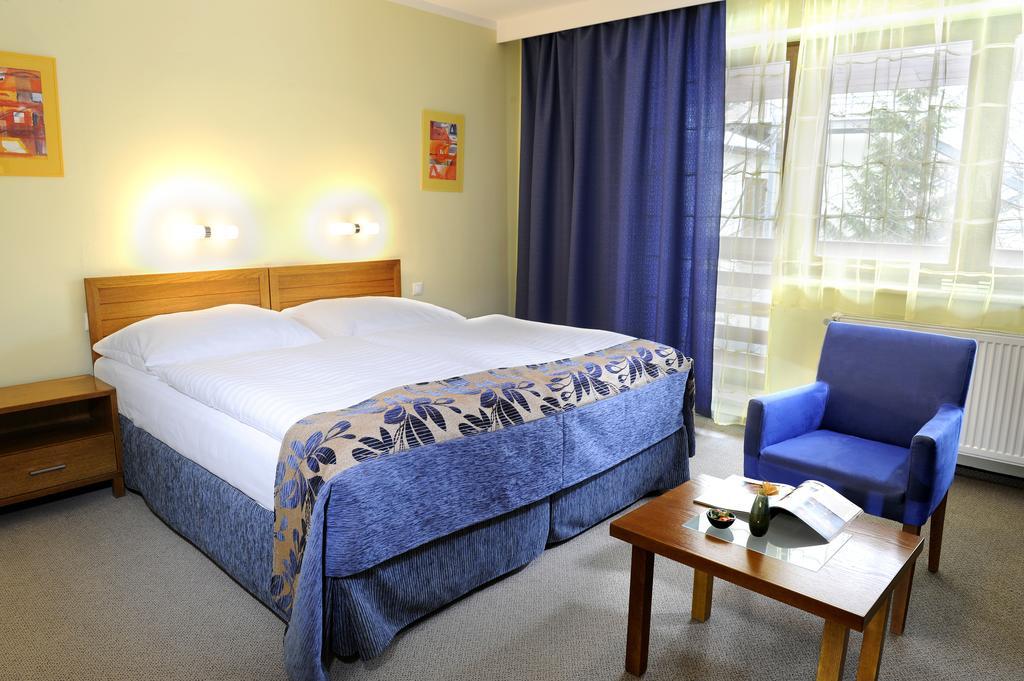 Hotel Victoria Martin Bilik gambar